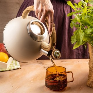Czajnik z gwizdkiem Klausberg KB-7913 2,5L Beżowy