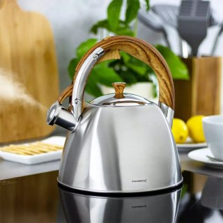 Czajnik z gwizdkiem Klausberg KB-7193 3L INOX