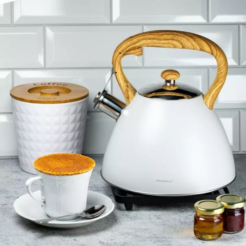 Czajnik 3,0L z gwizdkiem Klausberg KB-7264 Jasny Szary