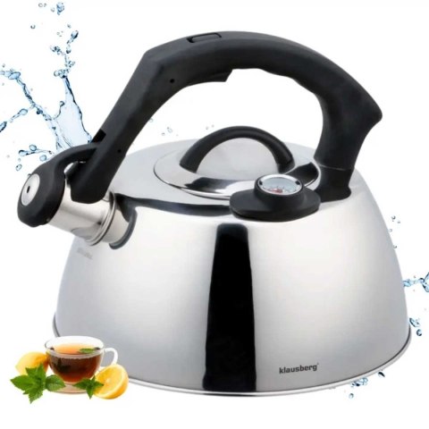 Czajnik z termometrem Klausberg KB-7370 3L INOX
